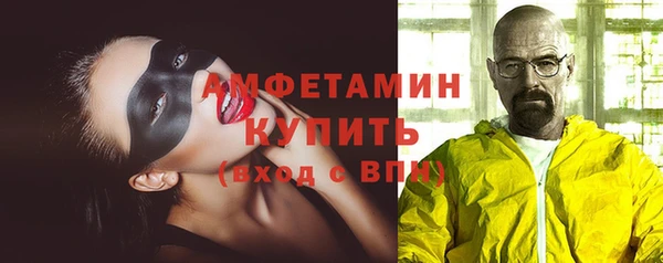 сатива Верея