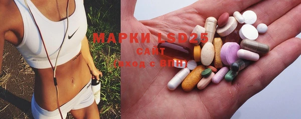 шишки Бородино