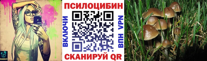 купить наркоту  Новоржев  Псилоцибиновые грибы мухоморы 